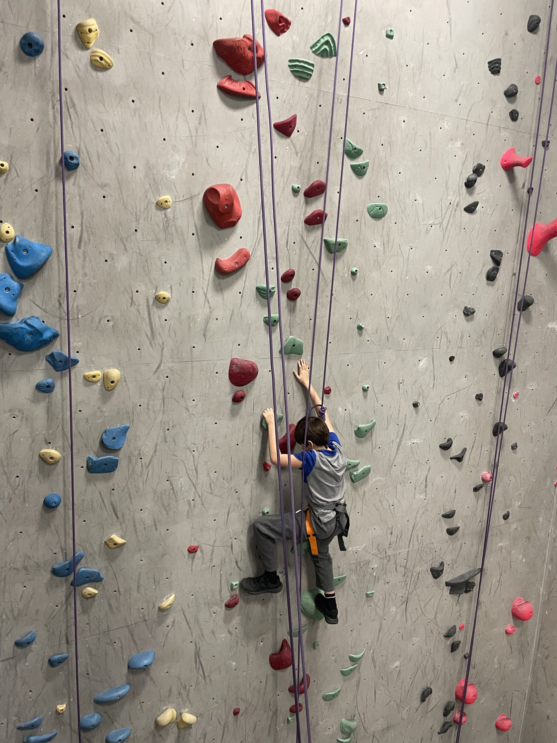 Picture of one of our services